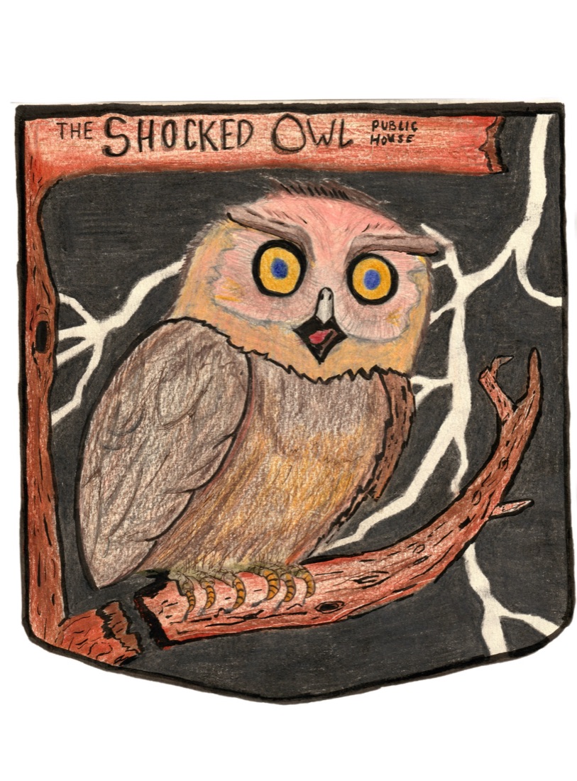 The Shocked Owl